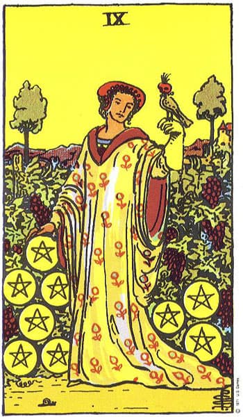 Nine of Pentacles tarot card