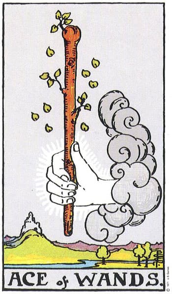Ace of Wands tarot card